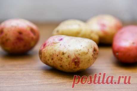 Картошка-гармошка - пошаговый рецепт с фото - как приготовить, ингредиенты, состав, время приготовления - Леди Mail.Ru