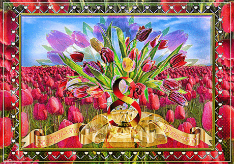 Мои поздравления!