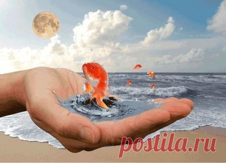 Жаль, что нельзя остановить время и вернуть все назад, чтобы исправить предыдущие ошибки. Жизнь не дает второго шанса. Поэтому живи сердцем. Доверяй своему сердцу. Делай все, чтобы добиться своей цели. Никогда не опускай руки.
Присоединяйтесь!