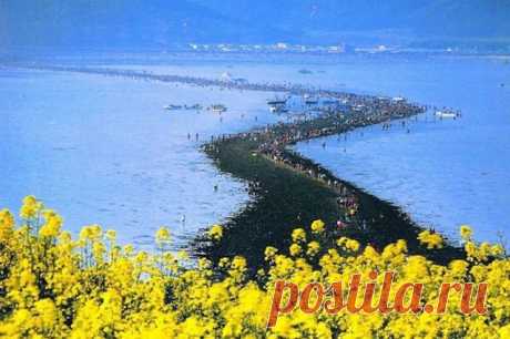 Мой Мир@Mail.Ru