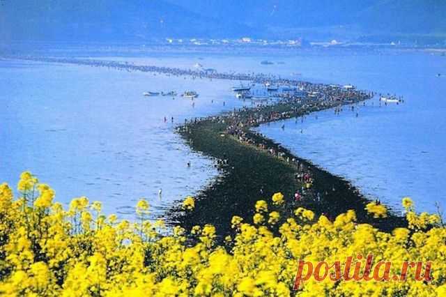 Мой Мир@Mail.Ru