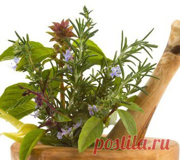 Диета «5 трав» на пять дней - Женский портал Брюнеточка