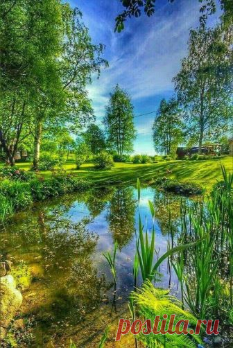 Nature's beauties.