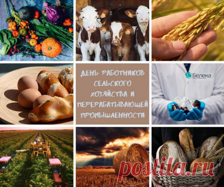 Дорогие наши сотрудники сельского хозяйства и перерабатывающей промышленности, поздравляем вас с вашим профессиональным праздником!