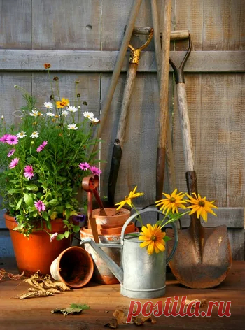 Садово-огородные инструменты - сбор пазла Лучшая коллекция пазлов для взрослых и детей: собирайте и создавайте свои собственные пазлы.