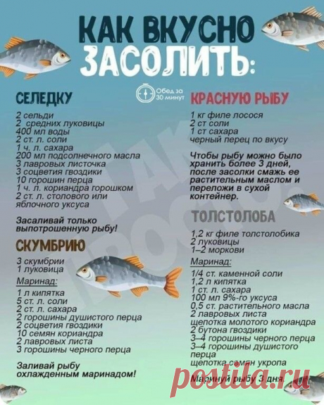 Вкусные рецепты