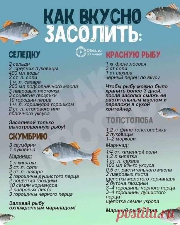 Вкусные рецепты