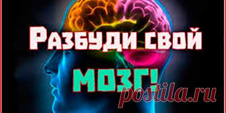 УВЕЛИЧИВАЕМ РАБОТОСПОСОБНОСТЬ МОЗГА. РАСШИРЯЕМ СОСУДЫ ДЛЯ ПИТАНИЯ ГОЛОВНОГО МОЗГА. | Полезные советы