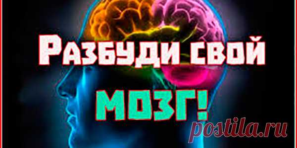 УВЕЛИЧИВАЕМ РАБОТОСПОСОБНОСТЬ МОЗГА. РАСШИРЯЕМ СОСУДЫ ДЛЯ ПИТАНИЯ ГОЛОВНОГО МОЗГА. | Полезные советы