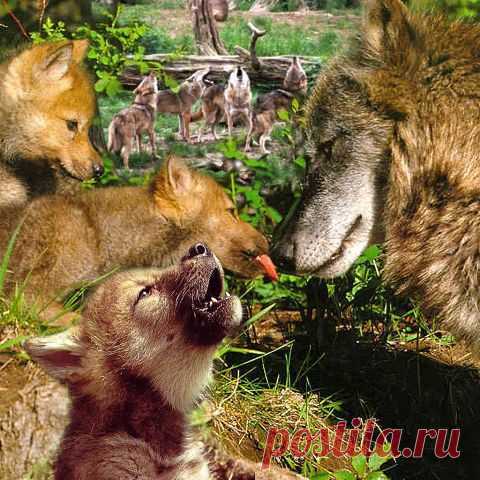 МЕЛОДИЯ ЦВЕТОВ--ПОЗДРАВЛЕНИЯ ДЛЯ ВСЕХ
Владимир Миронов