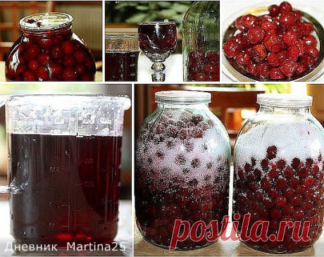 Дневник Martina25