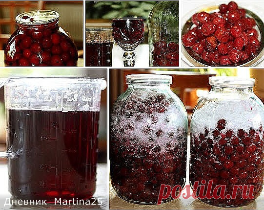 Дневник Martina25