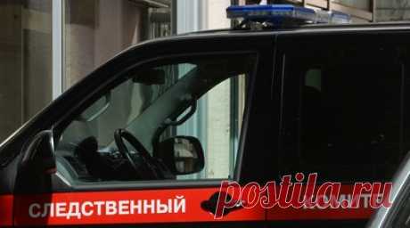 В Челябинской области завели дело по факту нападения собак на жителей. В Катав-Ивановске завели уголовное дело по факту нападения стаи собак на местных жителей, заявили в региональном СУ СК России. Читать далее