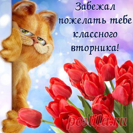 Понедельник наступает.
Пусть в нем будет нам уютно,
Пусть нам будет хорошо!
Пусть дела все удаются
И возможным будет всё!