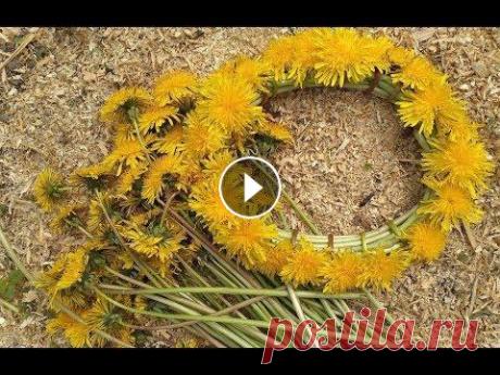 Как плести ВЕНОК ИЗ ОДУВАНЧИКОВ /Венок из цветов / Wreath of flowers Как плести ВЕНОК ИЗ ОДУВАНЧИКОВ /Венок из цветов / Wreath of flowers Помогите в развитии канала!!! Help in the development of the channel!!! Яндекс ко...