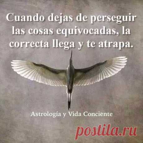 Maribel Medina (@astrologiayvidaconsciente) | Instagram photos, videos, highlights and stroies
