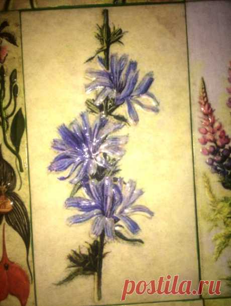 Keramicheskaja plitka_Plitka ruchnoj raboty_plitka keramicheskaja_dekor plitkoj_plitka dlja sten_plitka flora_plitka dlja mebeli_dekor mebeli_plitka s rastenijami_dekor kuhni_dekor vannoj_ panno keramicheskoe_plitku dekorativnuju kupit'_plitka s cvetami_dizajnerskaja plitka_avtorskaja plitka_dekorativnaja plitka_kuhonnyj fartuk_plitka gerbarij_plitka pod zakaz