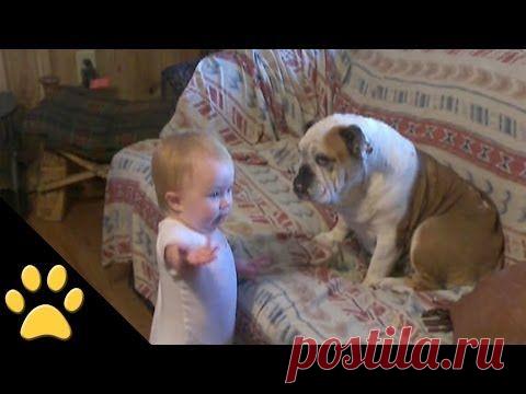 СУПЕР!!! НУ КАК ЖЕ ОН НЕ ПОНИМАЕТ?!..)))))