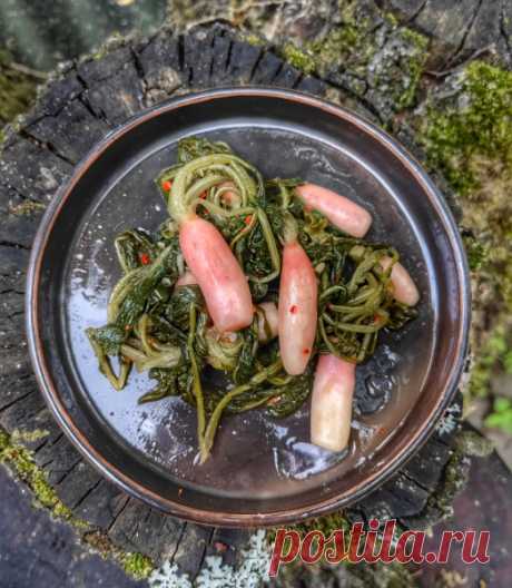 Кимчи из молодой редиски : food_it — ЖЖ