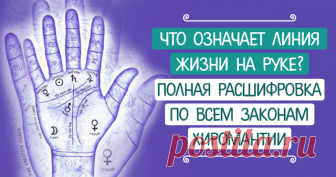 Что означает линия жизни на руке? Полная расшифровка по всем законам хиромантии Определение линии жизни и ее месторасположение на руке