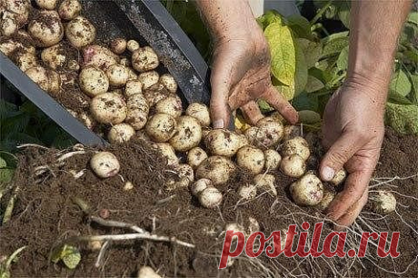 Полезные советы | Самоцветик