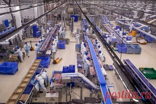 2021 июль. Компания «Дамате» открыла крупнейший в Европе завод глубокой переработки индейки. Предприятие расположено в Нижнеломовском районе Пензенской области. Ассортимент выпускаемой продукции насчитывает порядка 100 позиций. Сумма инвестиций в новое производство составила 9 млрд рублей. Создано 700 рабочих мест. В целом, на предприятиях группы компаний «Дамате» в Пензенской области работает уже порядка 10 тысяч человек