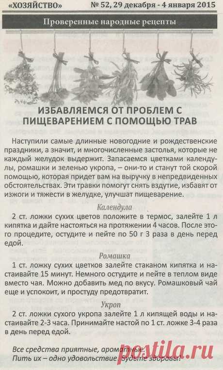 Избавляемся от проблем с пищеварением с помощью трав
