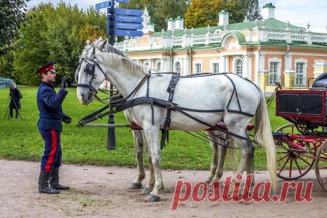 Родовая вотчина Шереметевых усадьба Кусково и её "Нераскрытые тайны" (2 видео)