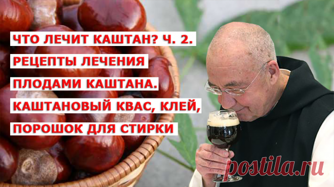 Практически каждая часть этого дерева содержит чрезвычайно ценные вещества с сильным эффектом. Плоды содержат содержат, кроме всего прочего, эсцин котоый нейтрализует свободные радикалы в клетках организма. Именно они, свободные радикалы, разрушают молекулы  ДНК, что приводит к мутациям, образованию злокачественных новообразований, к ускоренному старению, усугублению течения тяжелых заболеваний. Эсцин — уникальное вещество, которое содержится только в этом растении. Этот компонент действует