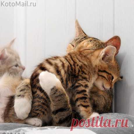 Моя мамочка!