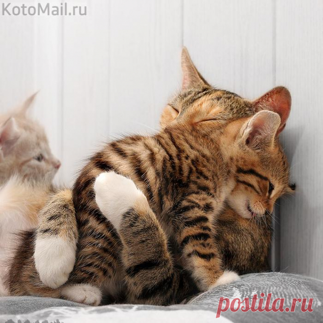 Моя мамочка!