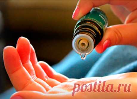 Вот оно - масло, которое может остановить рак! Сюрприз от природы. Даже ученые сейчас признают ценность для здоровья некоторых эфирных масел. Они останавливают распространение рака и приводят к гибели раковых клеток. Способность эфирных масел предотвращать разные болезни, особенно рак,...