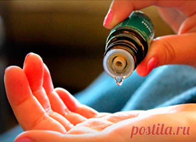 Вот оно - масло, которое может остановить рак! Сюрприз от природы. Даже ученые сейчас признают ценность для здоровья некоторых эфирных масел. Они останавливают распространение рака и приводят к гибели раковых клеток. Способность эфирных масел предотвращать разные болезни, особенно рак,...