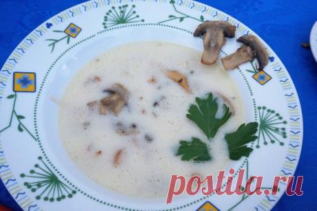 Сливочный суп с грибами - Простые рецепты Овкусе.ру