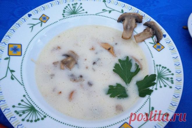 Сливочный суп с грибами - Простые рецепты Овкусе.ру