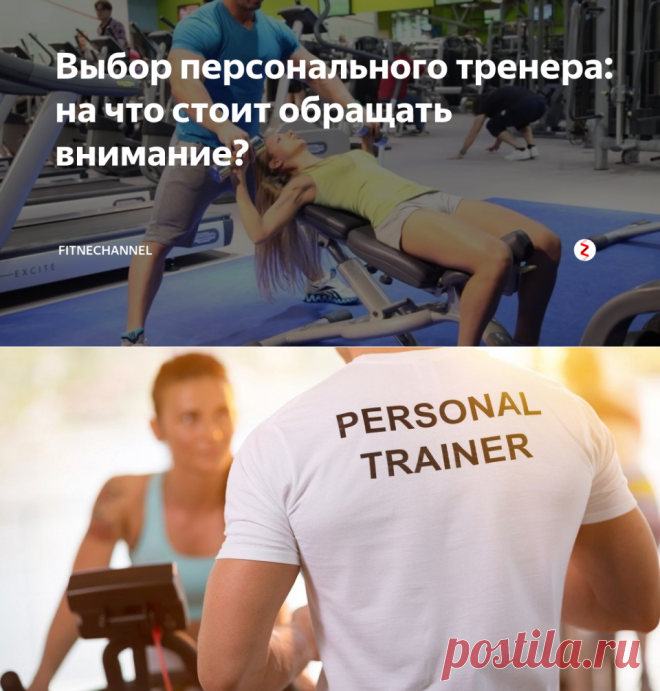 Выбор персонального тренера: на что стоит обращать внимание? | fitnechannel | Яндекс Дзен