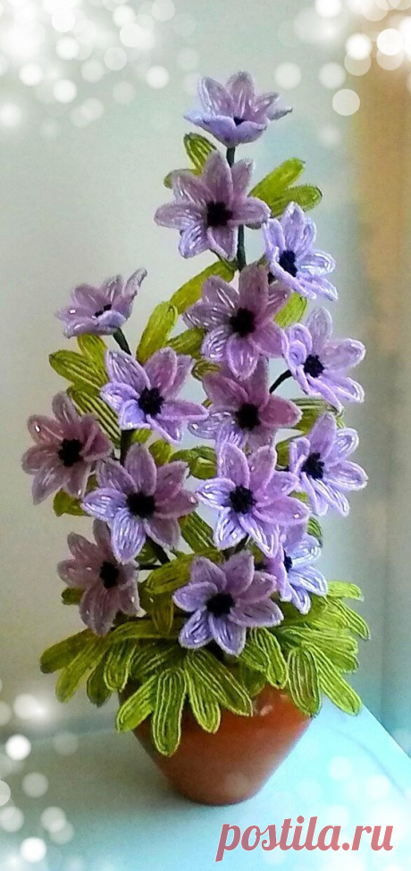 (4) Pinterest