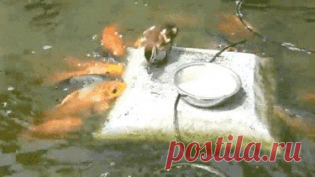 ***********