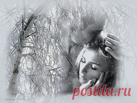 Мои закладки