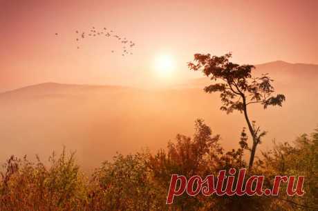 Фотография как искусство 📷