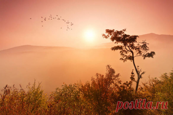 Фотография как искусство 📷