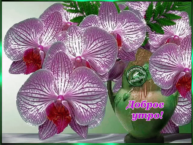 Доброе утро! https://gifq.ru/dobroe-utro-211/