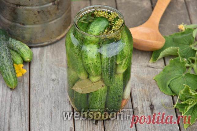 Маринованные огурцы по-болгарски рецепт с фото, как приготовить на Webspoon.ru
