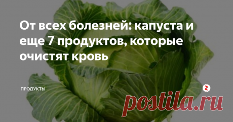 От всех болезней: капуста и еще 7 продуктов, которые очистят кровь Именно кровь несет во все ткани тела питательные элементы, от ее состава зависит здоровье всего организма.
Кровь снабжает организм питательными веществами и кислородом, которые необходимы для функционирования всех тканей нашего тела. Для того, чтобы кровь была «чистой», у нее должен быть правильный баланс содержания сахара, липидов и минералов. В хорошем состоянии должны быть печень и почки, потом