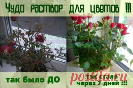 (19) Одноклассники