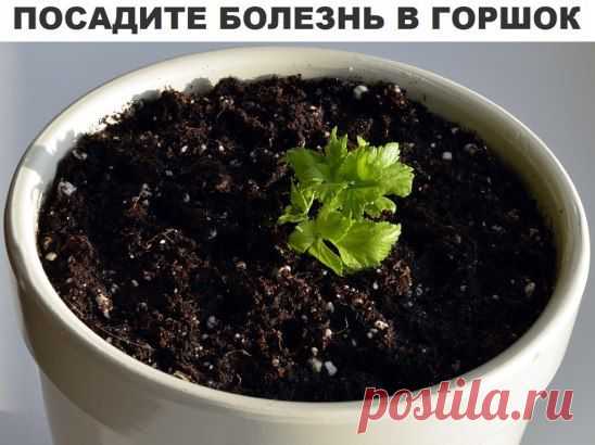 (69) Одноклассники