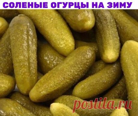 Соленые огурцы на зиму

На 3-х литровую банку:
3 ст. ложки соли
1 ст. ложка сухой горчицы.
огурцы

Набор зелени для соления. Обязательно сельдерей, я кладу траву, но можно и черешковый.
Огурцы, если они не с грядки, предварительно замочить часа на 2, срезать кончики.
Уложить в чистую, ошпаренную банку огурцы, зелень, чеснок.
Сверху всыпать соль и горчицу.
Положить зеленушку и залить кипятком доверху.
Закрыть прокипяченными полиэтиленовыми или закручивающимися крышками. ВСЕ...