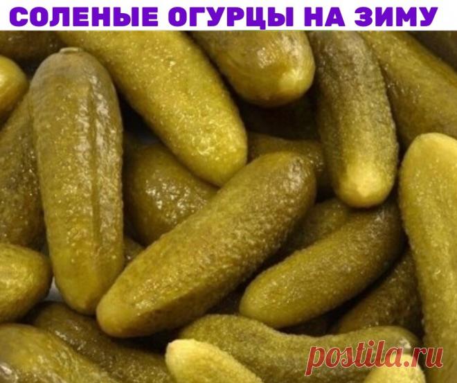 Соленые огурцы на зиму

На 3-х литровую банку:
3 ст. ложки соли
1 ст. ложка сухой горчицы.
огурцы

Набор зелени для соления. Обязательно сельдерей, я кладу траву, но можно и черешковый.
Огурцы, если они не с грядки, предварительно замочить часа на 2, срезать кончики.
Уложить в чистую, ошпаренную банку огурцы, зелень, чеснок.
Сверху всыпать соль и горчицу.
Положить зеленушку и залить кипятком доверху.
Закрыть прокипяченными полиэтиленовыми или закручивающимися крышками. ВСЕ...