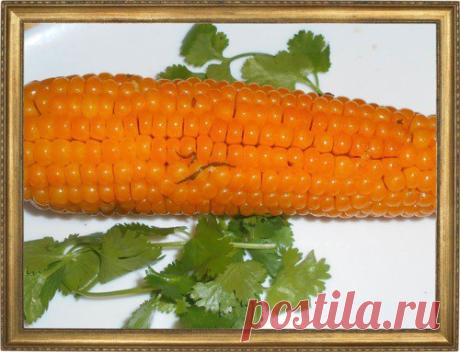 ПЕЧЕНАЯ КУКУРУЗА.
