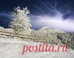 15 февраля отмечается 